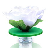 Fancy Floating White LED Rose