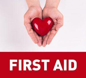 Basic First Aid - MBACKidz - Affordable Safety & Health Products